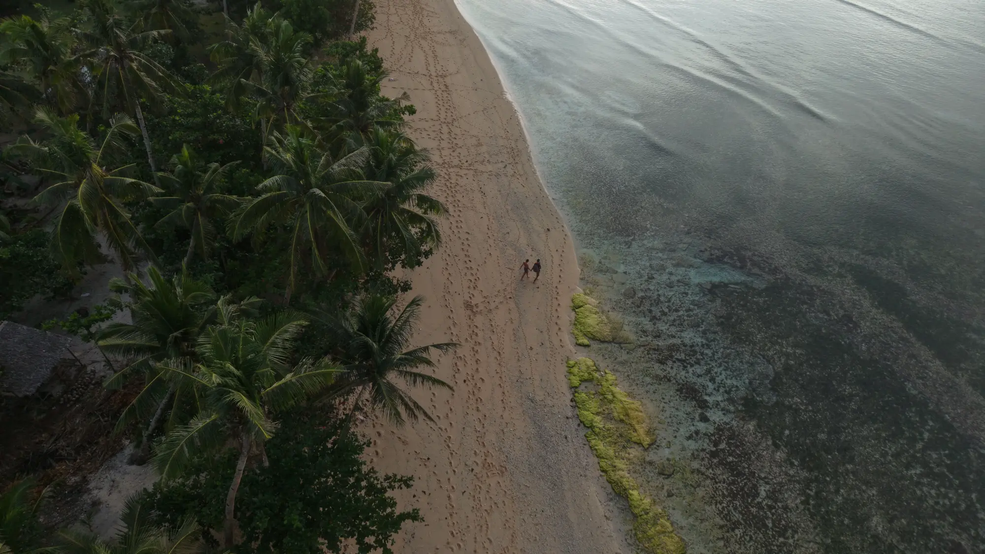 Luftaufnahme einer Palmenküste auf den Philippinen